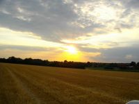 Sommerfest Baumberge 2010 069